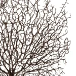 GloboStar® Artificial Garden BROWN COLAR BRANCH 21467 Τεχνητό Διακοσμητικό Κλαδί Καφέ Koράλι Y49cm - Image 2