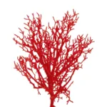 GloboStar® Artificial Garden RED COLAR BRANCH 21468 Τεχνητό Διακοσμητικό Κλαδί Κόκκινο Koράλι Y35cm - Image 2