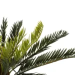 GloboStar® Artificial Garden CYCADS 21474 Τεχνητό Διακοσμητικό Φυτό Κύκας Υ42cm - Image 2
