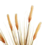 GloboStar® Artificial Garden PAMPAS GRASS 21476 Τεχνητό Διακοσμητικό Φυτό Μπεζ Πάμπας Μ90 x Π40 x Υ150cm - Image 2