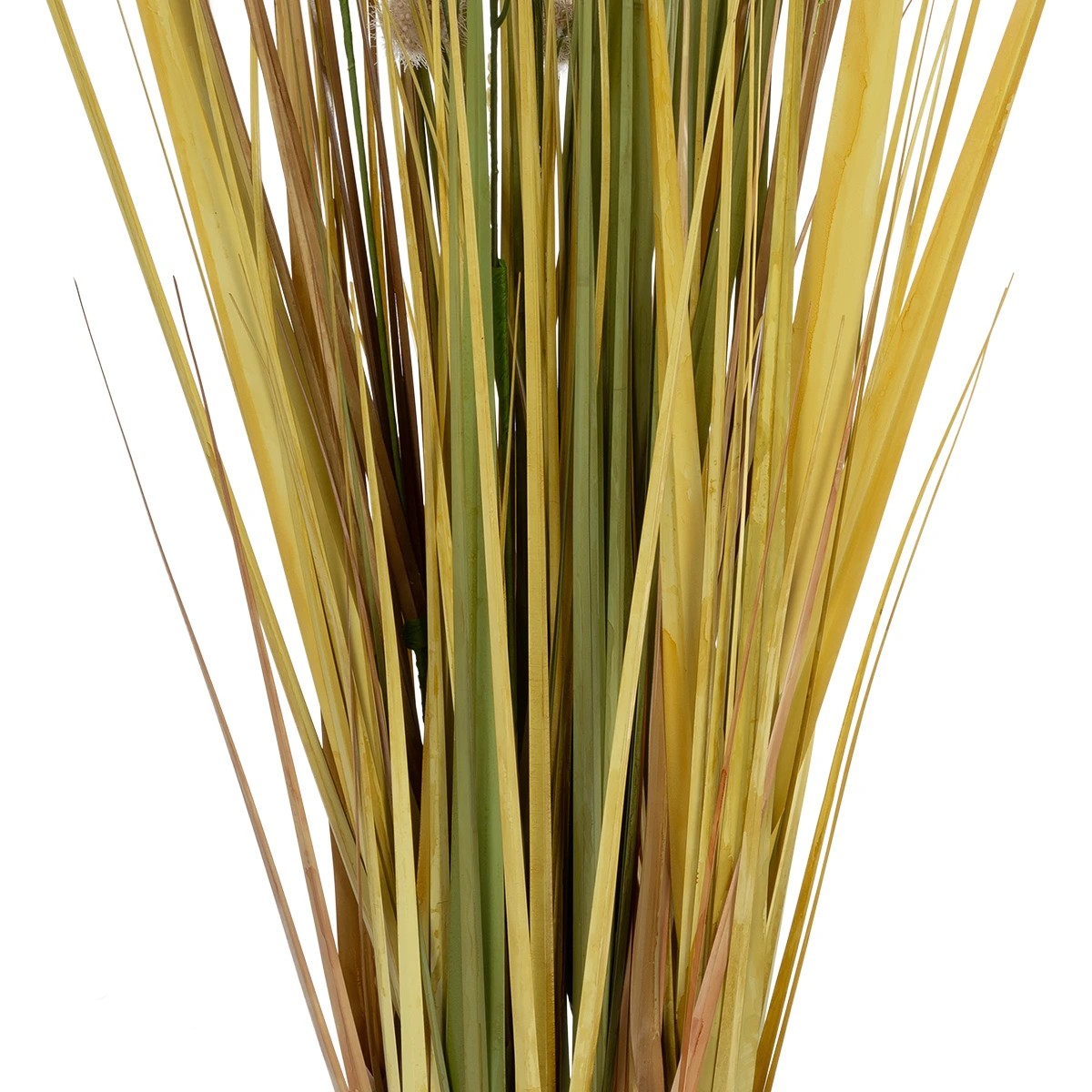 GloboStar® Artificial Garden CRASPEDIA GRASS 21479 Τεχνητό Διακοσμητικό Φυτό Κρασπέδια Υ150cm - Image 3