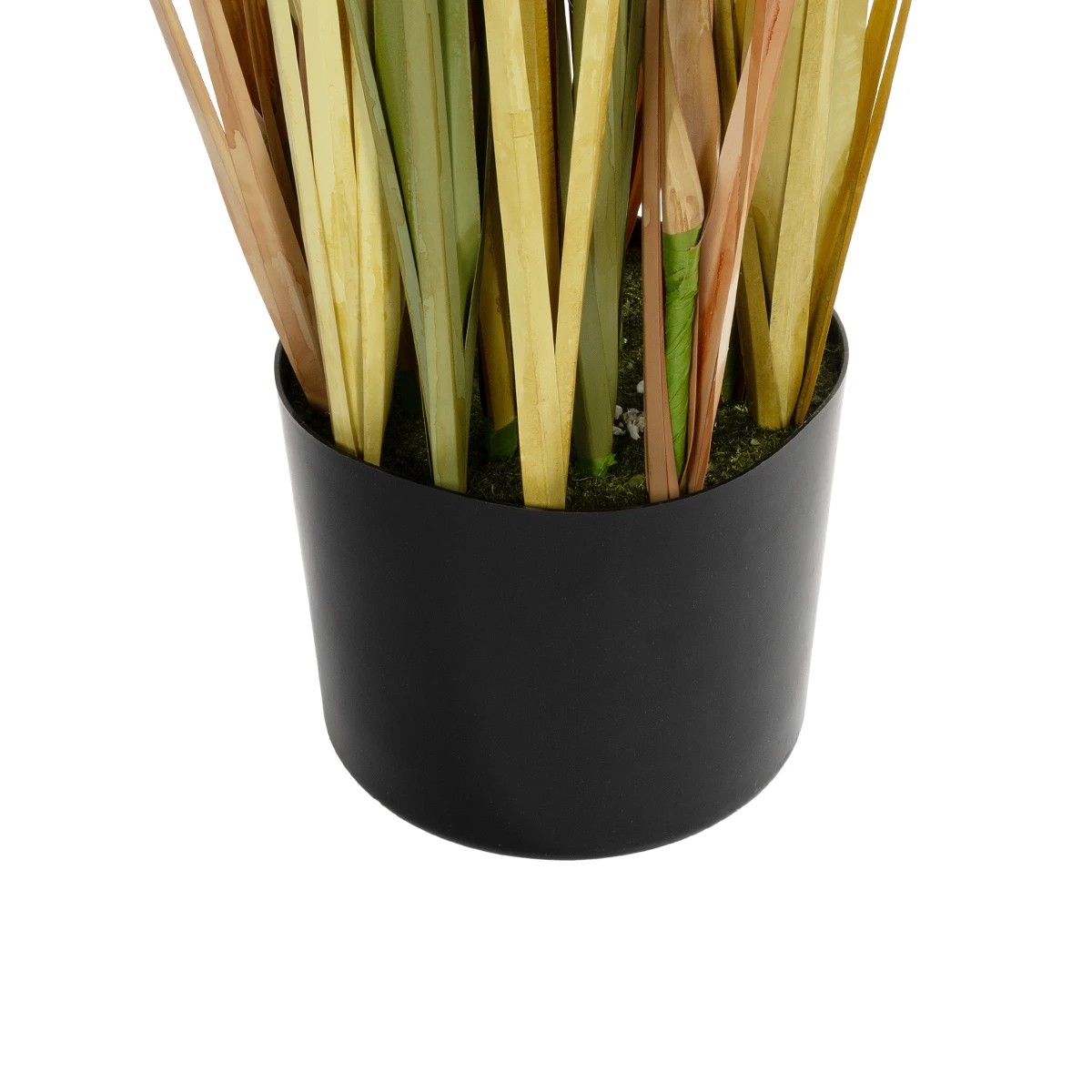 GloboStar® Artificial Garden CRASPEDIA GRASS 21479 Τεχνητό Διακοσμητικό Φυτό Κρασπέδια Υ150cm - Image 4