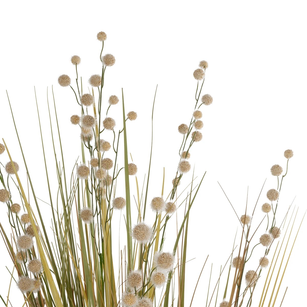 GloboStar® Artificial Garden CRASPEDIA GRASS 21480 Τεχνητό Διακοσμητικό Φυτό Μπεζ & Πράσινο Κρασπέδια Μ90 x Π60 x Υ175cm - Image 2