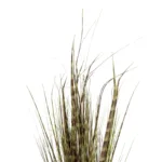 GloboStar® Artificial Garden ZEBRA GRASS 21482 Τεχνητό Διακοσμητικό Φυτό Ζέμπρα  Υ85cm - Image 2