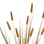 GloboStar® Artificial Garden TYPHA GRASS 21484 Τεχνητό Διακοσμητικό Φυτό Γρασίδι της Τύφας Μ100 x Π35 x Υ180cm - Image 2