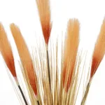GloboStar® Artificial Garden ORANGE PAMPAS GRASS BRANCH 21486 Τεχνητό Διακοσμητικό Κλαδί Πορτοκαλί Πάμπας Y88cm - Image 2