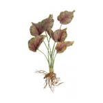 GloboStar® Artificial Garden BEGONIA LEAVES ROOTED 21490 Τεχνητό Διακοσμητικό Φυτό Πολύχρωμη Βιγόνια Μ25 x Π14 x Υ35cm