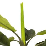 GloboStar® Artificial Garden BANANA TREE 21500 Τεχνητό Διακοσμητικό Δέντρο Μπανανιάς Υ300cm - Image 2