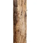 GloboStar® Artificial Garden BANANA TREE 21502 Τεχνητό Διακοσμητικό Δέντρο Μπανανιάς Υ500cm - Image 5