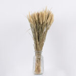 GloboStar® PENNISETUM 36503 Αποξηραμένο Φυτό Πεννήσιο - Μπουκέτο Διακοσμητικών Κλαδιών Μπεζ - Πράσινο Υ60cm - Image 2