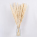 GloboStar® PAMPASGRASS 36507 Αποξηραμένο Φυτό Γρασίδι της Πάμπας - Μπουκέτο Διακοσμητικών Κλαδιών Μπεζ - Εκρού Υ80cm - Image 2