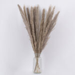 GloboStar® PAMPASGRASS 36511 Αποξηραμένο Φυτό Γρασίδι της Πάμπας - Μπουκέτο Διακοσμητικών Κλαδιών Καφέ - Γκρι Υ80cm - Image 2