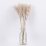 GloboStar® MISCANTHUS 36535 Αποξηραμένο Φυτό Μίσχανθος - Μπουκέτο Διακοσμητικών Κλαδιών Μπεζ Υ60cm - Image 2