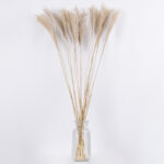 GloboStar® MISCANTHUS 36537 Αποξηραμένο Φυτό Μίσχανθος - Μπουκέτο Διακοσμητικών Κλαδιών Μπεζ Υ100cm - Image 2