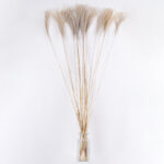 GloboStar® MISCANTHUS 36539 Αποξηραμένο Φυτό Μίσχανθος - Μπουκέτο Διακοσμητικών Κλαδιών Μπεζ Υ140cm - Image 2