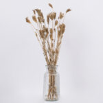 GloboStar® WILDCARROT 36546 Αποξηραμένο Φυτό Άγριο Καρότο - Μπουκέτο Διακοσμητικών Κλαδιών Μπεζ Υ60cm - Image 2