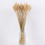 GloboStar® BARLEY 36551 Αποξηραμένο Φυτό Κριθάρι - Μπουκέτο Διακοσμητικών Κλαδιών Μπεζ Υ60cm - Image 2