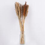 GloboStar® BROOMCORN 36554 Αποξηραμένο Φυτό Γλυκό Σόργο - Μπουκέτο Διακοσμητικών Κλαδιών Καφέ Υ80cm - Image 2