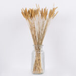 GloboStar® SETARIA 36557 Αποξηραμένο Φυτό Σεταρία - Μπουκέτο Διακοσμητικών Κλαδιών Μπεζ Υ60cm - Image 2