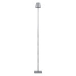 GloboStar® NEGA 60480 Μοντέρνο Επιδαπέδιο Φωτιστικό LED 2.2W 154lm 360° DC 5V Επαναφορτιζόμενο με Μπαταρία Li-ion 4000mAh - Διακόπτη Αφής - Θερμό Λευκό 2700K - Dimmable - D10 x H135cm - Ασημί - 2 Years Warranty - Image 4