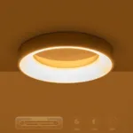 GloboStar® SALEM 61234 Πλαφονιέρα Οροφής Δαχτυλίδι-Κύκλος LED CCT 75W 8625lm 120° AC 220-240V - Εναλλαγή Φωτισμού μέσω Τηλεχειριστηρίου All In One Ψυχρό 6000k+Φυσικό 4500k+Θερμό 2700k Dimmable Φ45cm - Ασημί - 3 Years Warranty - Image 10