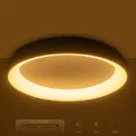 GloboStar® SALEM 61238 Πλαφονιέρα Οροφής Δαχτυλίδι-Κύκλος LED CCT 105W 12075lm 120° AC 220-240V - Εναλλαγή Φωτισμού μέσω Τηλεχειριστηρίου All In One Ψυχρό 6000k+Φυσικό 4500k+Θερμό 2700k Dimmable Φ60cm - Ασημί - 3 Years Warranty - Image 10