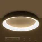 GloboStar® SALEM 61238 Πλαφονιέρα Οροφής Δαχτυλίδι-Κύκλος LED CCT 105W 12075lm 120° AC 220-240V - Εναλλαγή Φωτισμού μέσω Τηλεχειριστηρίου All In One Ψυχρό 6000k+Φυσικό 4500k+Θερμό 2700k Dimmable Φ60cm - Ασημί - 3 Years Warranty - Image 11