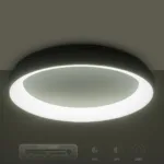 GloboStar® SALEM 61238 Πλαφονιέρα Οροφής Δαχτυλίδι-Κύκλος LED CCT 105W 12075lm 120° AC 220-240V - Εναλλαγή Φωτισμού μέσω Τηλεχειριστηρίου All In One Ψυχρό 6000k+Φυσικό 4500k+Θερμό 2700k Dimmable Φ60cm - Ασημί - 3 Years Warranty - Image 12