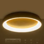 GloboStar® SALEM 61239 Πλαφονιέρα Οροφής Δαχτυλίδι-Κύκλος LED CCT 105W 12075lm 120° AC 220-240V - Εναλλαγή Φωτισμού μέσω Τηλεχειριστηρίου All In One Ψυχρό 6000k+Φυσικό 4500k+Θερμό 2700k Dimmable Φ60cm - Χρυσό Σαμπανιζέ - 3 Years Warranty - Image 11