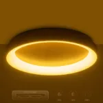 GloboStar® SALEM 61239 Πλαφονιέρα Οροφής Δαχτυλίδι-Κύκλος LED CCT 105W 12075lm 120° AC 220-240V - Εναλλαγή Φωτισμού μέσω Τηλεχειριστηρίου All In One Ψυχρό 6000k+Φυσικό 4500k+Θερμό 2700k Dimmable Φ60cm - Χρυσό Σαμπανιζέ - 3 Years Warranty - Image 10