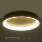 GloboStar® SALEM 61239 Πλαφονιέρα Οροφής Δαχτυλίδι-Κύκλος LED CCT 105W 12075lm 120° AC 220-240V - Εναλλαγή Φωτισμού μέσω Τηλεχειριστηρίου All In One Ψυχρό 6000k+Φυσικό 4500k+Θερμό 2700k Dimmable Φ60cm - Χρυσό Σαμπανιζέ - 3 Years Warranty - Image 12
