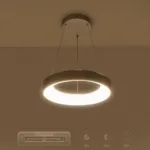 GloboStar® SALEM 61242 Κρεμαστή Πλαφονιέρα Οροφής Δαχτυλίδι-Κύκλος LED CCT 75W 8625lm 120° AC 220-240V - Εναλλαγή Φωτισμού μέσω Τηλεχειριστηρίου All In One Ψυχρό 6000k+Φυσικό 4500k+Θερμό 2700k Dimmable Φ45cm - Ασημί - 3 Years Warranty - Image 9