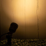 GloboStar® GARDENINI 61543 Καρφωτό Φωτιστικό Σποτ Κήπου LED 5W 650lm 38° DC 24V IP68 Υψηλής Αντοχής ABS IK06 Φ5.5 x Υ13.5cm - Θερμό Λευκό 2700K Dimmable - Μαύρο - Bridgelux Chip - 3 Years Warranty - Image 9