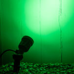 GloboStar® GARDENINI 61544 Καρφωτό Φωτιστικό Σποτ Κήπου LED 5W 550lm 38° DC 24V IP68 Υψηλής Αντοχής ABS IK06 Φ5.5 x Υ13.5cm - Πράσινο 550nm Dimmable - Μαύρο - Bridgelux Chip - 3 Years Warranty - Image 9