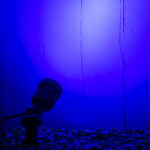 GloboStar® GARDENINI 61545 Καρφωτό Φωτιστικό Σποτ Κήπου LED 5W 550lm 38° DC 24V IP68 Υψηλής Αντοχής ABS IK06 Φ5.5 x Υ13.5cm - Μπλε 450nm Dimmable - Μαύρο - Bridgelux Chip - 3 Years Warranty - Image 9