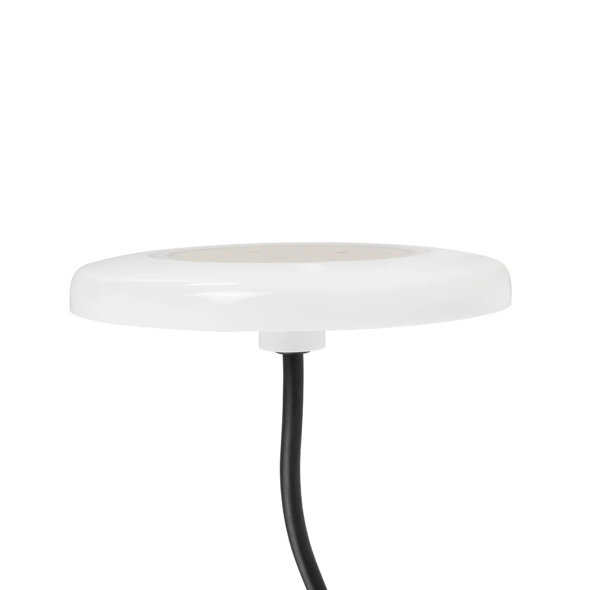 GLOBOSTAR® POOLARTY 61715 Υποβρύχιο Φωτιστικό για Σιντριβάνια/Πισίνες LED 8W 640lm 120° DC 12V Αδιάβροχο IP68 Φυσικό Λευκό 4500K Dimmable - 1m VDE Rubber Καλώδιο - Φ13 x Υ2cm - 3 Χρόνια Εγγύηση - Image 4