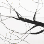 GloboStar® 71589 Διακοσμητικό Επιτραπέζιο Φωτιζόμενο Εύκαμπτο Mini Φυτό με 48 LED 3W 300lm Μπαταρίας Θερμό Λευκό 3000K Φ40 x Υ50cm - Image 8