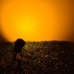 GloboStar® 75584 Προβολάκι Κήπου Καρφωτό - Δαπέδου Bridgelux COB LED 10W 1000lm 35° DC 12V Αδιάβροχο IP67 Ultra Θερμό Λευκό 2200K Dimmable - Image 10