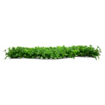 GloboStar® 78411 Artificial - Συνθετικό Τεχνητό Διακοσμητικό Πάνελ Φυλλωσιάς - Κάθετος Κήπος Τριφύλλι - Νάνος Φτέρη Πράσινο Μ60 x Υ40 x Π8cm - Image 2