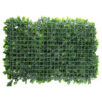 GloboStar® 78425 Artificial - Συνθετικό Τεχνητό Διακοσμητικό Πάνελ Φυλλωσιάς - Κάθετος Κήπος Πεπερομία - Πράσινο Μ60 x Υ40 x Π8cm - Image 3