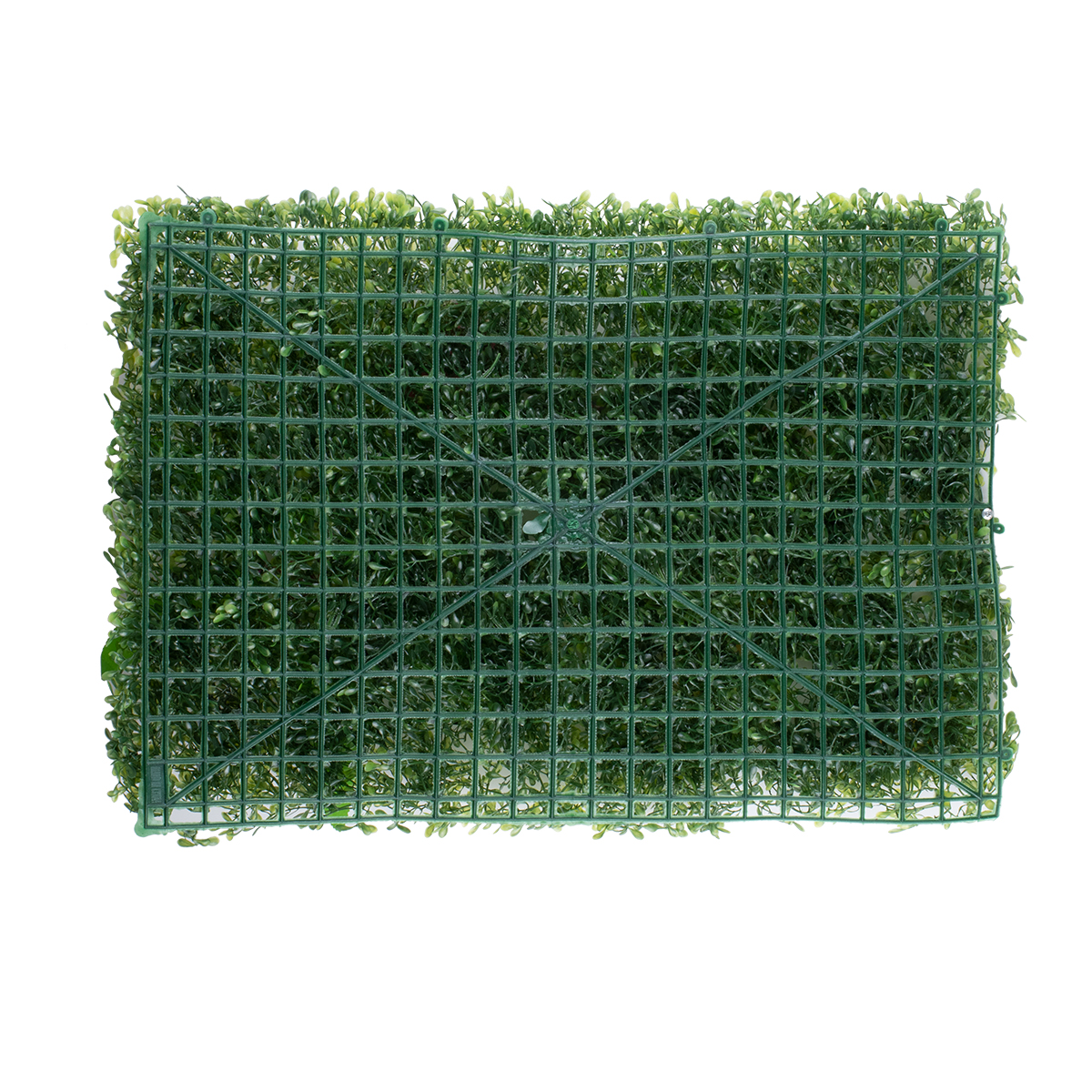 GloboStar® 78429 Artificial - Συνθετικό Τεχνητό Διακοσμητικό Πάνελ Φυλλωσιάς - Κάθετος Κήπος Πυξάρι - Φτέρη - Πόλκα - Λευκό - Κίτρινο - Κόκκινο Μ60 x Υ40 x Π7cm - Image 3