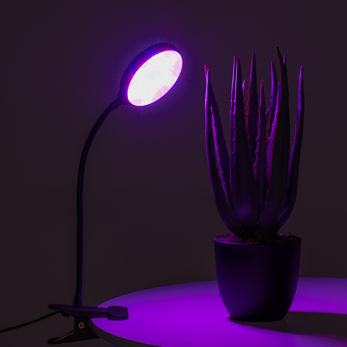 GloboStar® 79648 Grow Light Full Spectrum LED Φωτιστικό Ανάπτυξης Φυτών Γλάστρας με 1 Κινούμενη Κεφαλή & Βάση Clip SMD 2835 5W 160° DC 5V IP20 με Dimmer & Timer Εσωτερικού Χώρου για Κάλυψη Επιφάνειας 0.6m x 0.6m Πλήρους Φάσματος Φωτισμού - Image 10