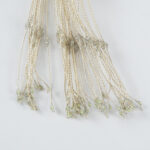 GloboStar® 79797 Διακοσμητική Γιρλάντα Μπαταρίας (3xAAA Δεν Περιλαμβάνονται) 200 LED 3 Watt και Ασύρματο Χειριστήριο 8 Προγραμμάτων Φωτισμού Dimmable Πολύχρωμο RGB - Image 4