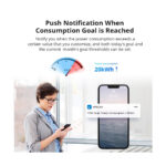 GloboStar® 80083 SONOFF POWR316 POW ORIGIN Smart LAN & WiFi 2.4GHz Power Meter Switch AC 100-240V Max 16A - Image 16