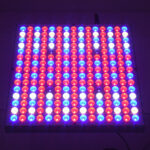 GloboStar® 85954 Grow Light Panel Full Spectrum LED Φωτιστικό Ανάπτυξης Φυτών Θερμοκηπίου SMD 2835 100W 160° AC230V IP54 Εσωτερικού Χώρου για Κάλυψη Επιφάνειας 1m x 1m Πλήρους Φάσματος Φωτισμού - Image 8