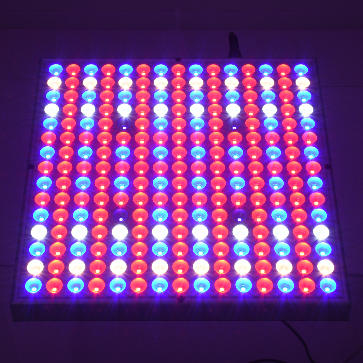GloboStar® 85954 Grow Light Panel Full Spectrum LED Φωτιστικό Ανάπτυξης Φυτών Θερμοκηπίου SMD 2835 100W 160° AC230V IP54 Εσωτερικού Χώρου για Κάλυψη Επιφάνειας 1m x 1m Πλήρους Φάσματος Φωτισμού - Image 8