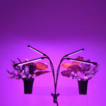 GloboStar® 85957 Grow Light Full Spectrum LED Φωτιστικό Ανάπτυξης Φυτών Γλάστρας με 4 Κινούμενες Κεφαλές & Βάση Μανταλάκι Clip SMD 2835 20W 160° AC230V IP20 με Dimmer & Timer Εσωτερικού Χώρου για Κάλυψη Επιφάνειας 1m x 1m Πλήρους Φάσματος Φωτισμού - Image 6