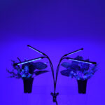 GloboStar® 85957 Grow Light Full Spectrum LED Φωτιστικό Ανάπτυξης Φυτών Γλάστρας με 4 Κινούμενες Κεφαλές & Βάση Μανταλάκι Clip SMD 2835 20W 160° AC230V IP20 με Dimmer & Timer Εσωτερικού Χώρου για Κάλυψη Επιφάνειας 1m x 1m Πλήρους Φάσματος Φωτισμού - Image 7