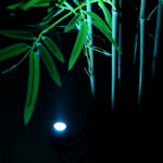 GloboStar® TREELIGHT-TREEGAL 90463 Σποτ Φωτισμού Ειδικό για Φυτά - Δέντρα με Βάση Μπετού & Κορμού LED 3W 315lm 15° DC 24V Αδιάβροχο IP67 Φ5 x Υ14.7cm RGBW DMX512 - Γκρι Ανθρακί - 3 Years Warranty - Image 9