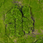 GloboStar® Artificial Garden BRYOPHYTA 20148 Τεχνητό Διακοσμητικό Πάνελ Φυλλωσιάς - Κάθετος Κήπος Βρύα Μ100 x Π100 x Υ4cm - Image 6